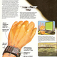 Illustration for article titled Ristos (1979)